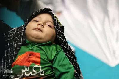 همایش شیرخوارگان حسینی در اردبیل