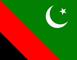 امریکہ میں سیاہ فاموں پر مظالم نے امریکہ کا حقیقی چہرہ نمایاں کردیا ہے۔ علامہ ڈومکی