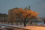 اصفهان در آغوش زمستان