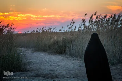 خلوت کردن دانشجویی در پاسگاه زید