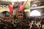 عکس | نخل برداری روز عاشورا در یزد