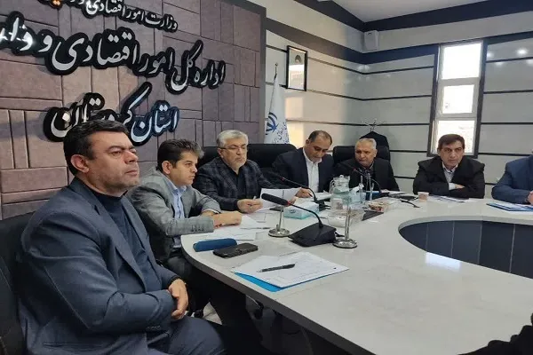 فارغ‌التحصیلان دانشگاهی در اولویت پرداخت تسهیلات مشاغل خانگی هستند