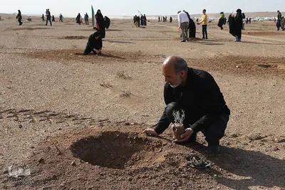 غرس نهال در روز طبیعت