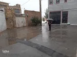 بارش برف
