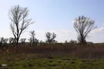 طبیعت بهاری شهرستان اهر