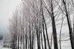 بارش برف پاییزی در ارتفاعات و مناطق روستایی اهر