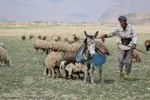 پانزدهم مهر؛ روز ملی روستا و عشایر