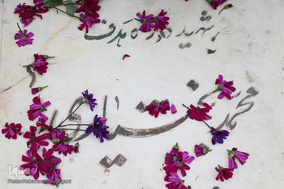 امام زاده محمد(ع) و سکینه خاتون(س) میزبان زائرین اهل قبور