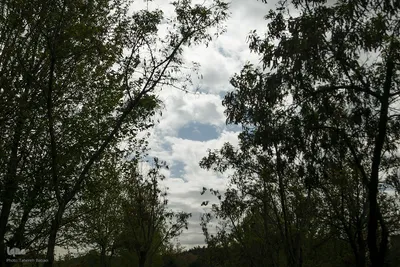 طبیعت بهاری تهران