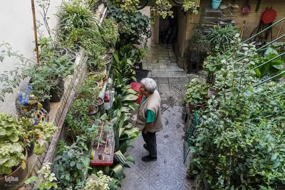 
دمی با جانِ جوانِ بخارا
