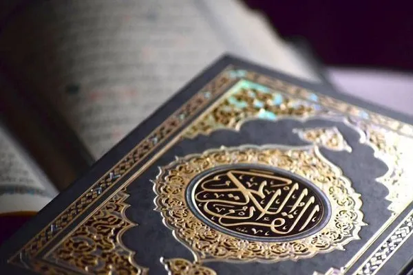 483 متسابقاً يتنافسون في تصفيات مسابقة محافظ 
