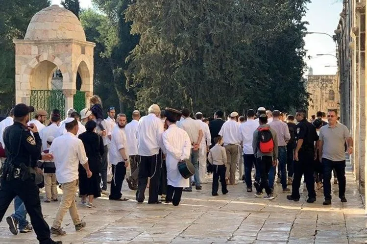 Decine di coloni invadono al-Aqsa
