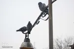 چهارراه کبوترها‎‎