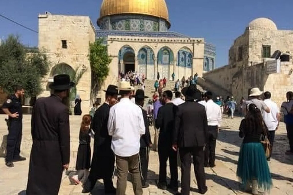 Al-Aqsa Mosque Compound Sanctity Violated by Zionist Settlers Again