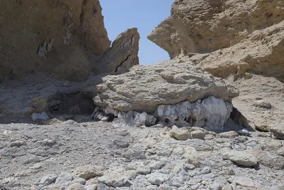 بازدید تور رسانه‌ای از کاکایی ارمنی در جزیره شاهسون دریاچه ارومیه و مزرعه پرورش آرتمیای بندر رحمانلو در عجب‌شیر
