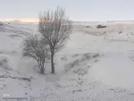 طیبعت برفی امروز در مناطق شهری و روستایی اهر
