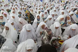 دعای عرفه حجاج ایرانی در صحرای عرفات