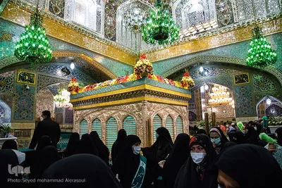 حال و هوای حرم رضوی در شب میلاد امام رضا(ع)