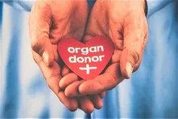 UK Muslim Scholar Issues Fatwa on Organ Donation  