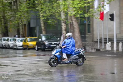 ترنم باران بهاری بر چهره شهر