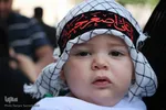 علی‌اصغر‌های اصفهان در آغوش مادران سوگوار