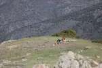 بقعه امامزاده پیرداوود‎