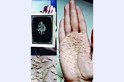 ৯৯ চালের ওপর আল্লাহর ৯৯ নাম অঙ্কন