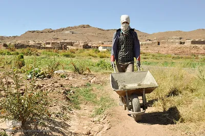 اروی جهادی در روستاهای محروم خراسان جنوبی
