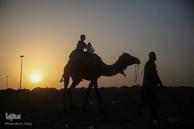 سواحل زیبای چابهار