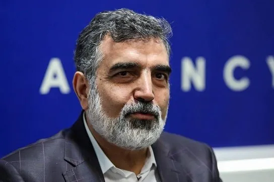 بنای ما در غنی سازی رسیدن به یک میلیون سو است