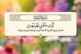 طرح | آفرید و هدایت کرد