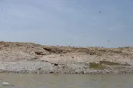 بازدید تور رسانه‌ای از کاکایی ارمنی در جزیره شاهسون دریاچه ارومیه و مزرعه پرورش آرتمیای بندر رحمانلو در عجب‌شیر
