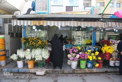 رونق بازار گل و گیاه در آستانه بهار