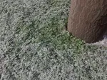 بارش برف زمستانی در اهر