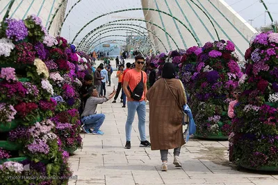 برج آزادی میزبان مسافران نوروزی