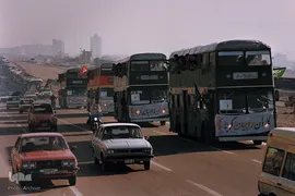 بسیجی، بهار آفرین چهار فصل آزادی