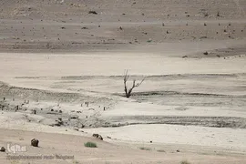 نفس‌های آخر سد اکباتان همدان