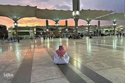 زائران بین‎المللی مدینه پیش از اعزام به مکه
