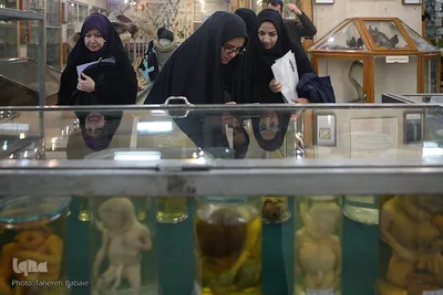 همایش ملی فرهنگ دانشگاهی و نهادینه شدن گفتمان