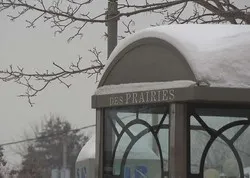 Canada : des affiches islamophobes dans des abris d'autobus à Trois-Rivières