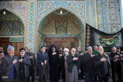 دسته های عزاداری در سوگ شهادت امام هادی(ع)