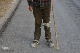 پیاده‌روی زائران رضوی