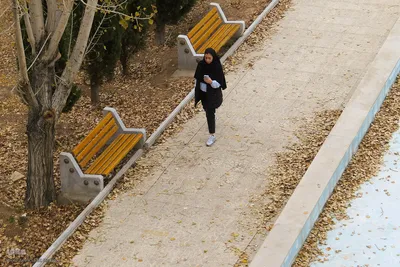 آخرین روز‌های پاییز در دانشگاه اصفهان