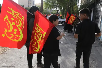 جاماندگان اربعین حسینی در شیراز