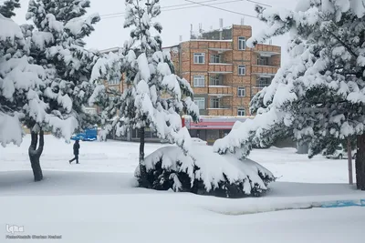 بارش شدید برف در اهر