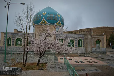 مقربان خدا در سرزمین خورشید / ملجأ دردمندان
