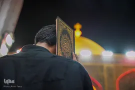 احیا در حرم امام علی‎‎