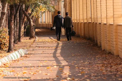 به رنگ پادشاه‌ فصل‌ها