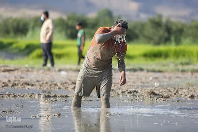 مسابقات فوتشال شیرازی در روستای «درب قلعه» استهبان