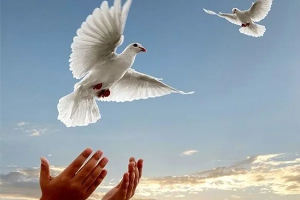 بخشش محکوم به قصاص به حرمت ماه محرم